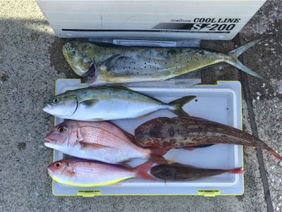 レンタルボートで船長デビュー