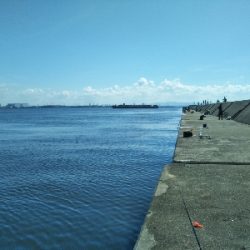 活性…ひくぅ!でもなんとか