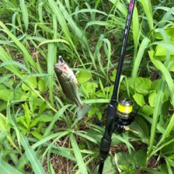 バスを探して出勤