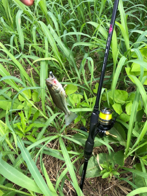 バスを探して出勤