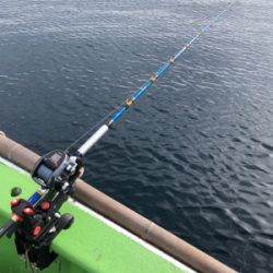 孝洋丸 落とし込み