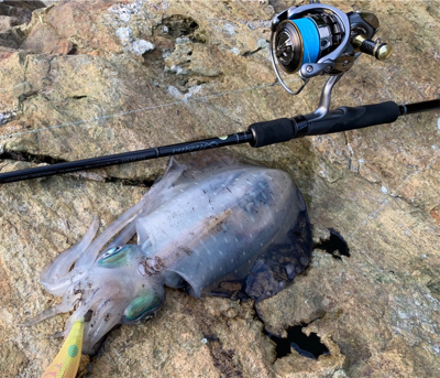 ヤズとかネリゴとか