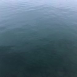 ショアから初青物