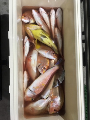 知り合いの船でタイラバ、アマラバ。