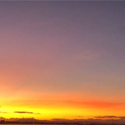 朝マズメパワー シーバスにツバス