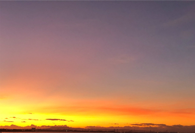 朝マズメパワー シーバスにツバス