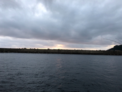 海が呼んでるんですもの♡