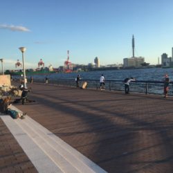 天保山 中央突堤 アジング修行のはずが…