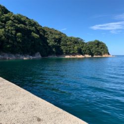 シーズンイン！