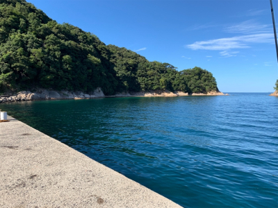 シーズンイン！