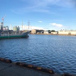 レズロスを買ったので試し投げに……