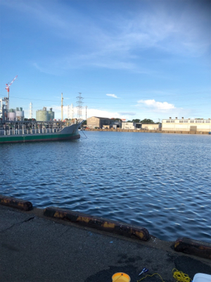 レズロスを買ったので試し投げに……