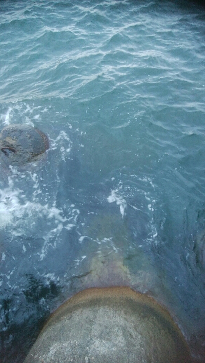 アオリイカ3杯！！　小キジハタ5匹