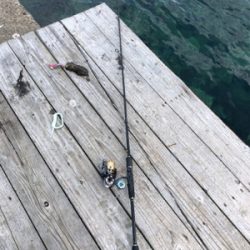 シンコ調査第4弾