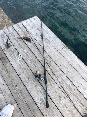 シンコ調査第4弾