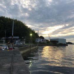 ガシリングにタコ！！！！