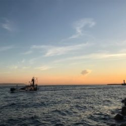 月曜日から仕事帰りのエギング