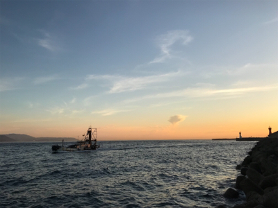 月曜日から仕事帰りのエギング