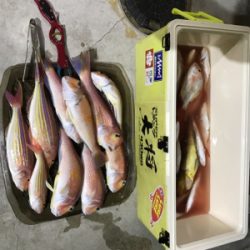 マイボートでアマダイ狙い