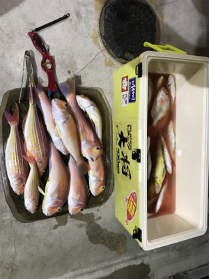 マイボートでアマダイ狙い