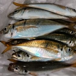 アジンガー1805〜1859