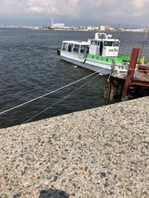 青物狙いのショアジギングで釣れた魚は?