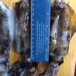 スクスク育ってますねぇ♡