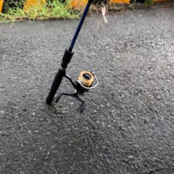 帰宅途中の30分アジング