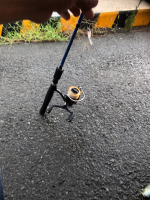 帰宅途中の30分アジング