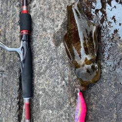 ショアジギで凹まされ…