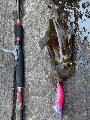 ショアジギで凹まされ…