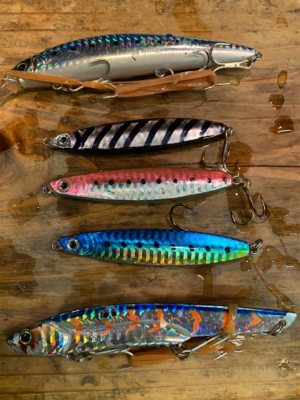 爆釣ツバス〜ハマチ♫