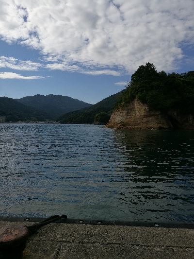 アオリイカ調査