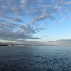 タチウオがやってきた！