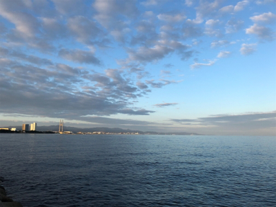 タチウオがやってきた！