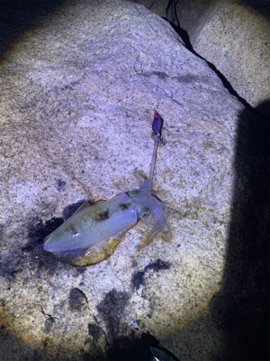 ええのんきたぁ！