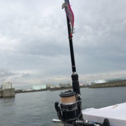 秋イカ開幕してるやん