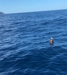 マイボートでアマダイ狙い