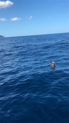 マイボートでアマダイ狙い