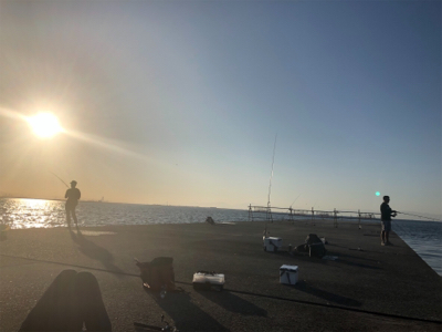 青物パラパラ タチウオ回遊なし