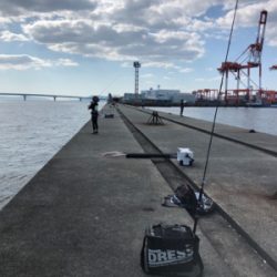 タチウオ爆釣!!