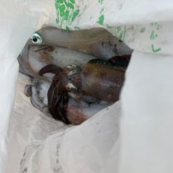 爆風のマイボートエギング