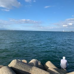 メッキフィーバー