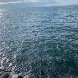 どうにかなった。