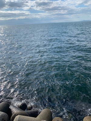 どうにかなった。