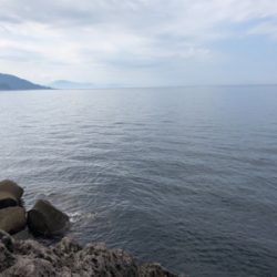 追い風を背に受けて!届け女神様♡