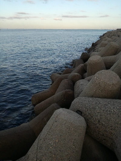 ギリハマチとジクに珍客