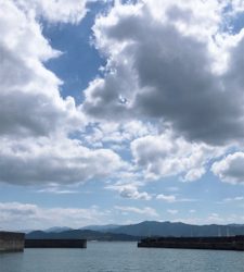 スズキ来たァ～⤴︎︎⤴︎︎