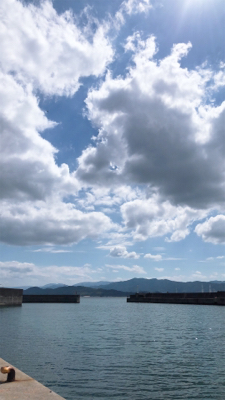 スズキ来たァ～⤴︎︎⤴︎︎