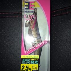 ケンサキとアオリGET (^^)